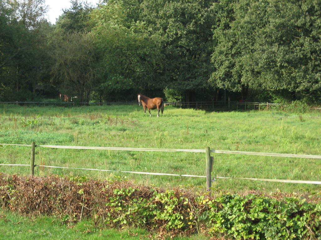 Bed and Breakfast Rustpunt Groote Heide Heeze Exterior foto